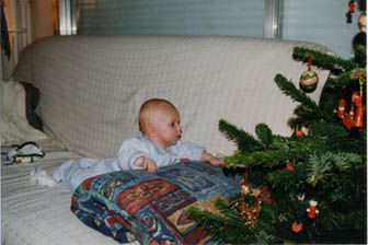 1219 sapin