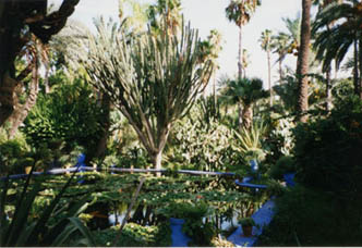 03 Jardin Majorelle