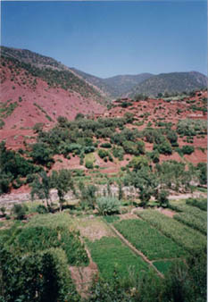 30  Vallée de l'Ourika2