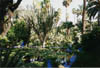 03 Jardin Majorelle