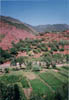 30  Vallée de l'Ourika2