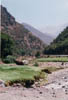 31  Vallée de l'Ourika3