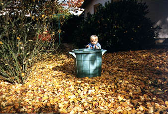 1030 automne2