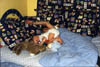 0711 sieste