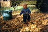 1030 automne