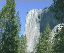 08 Séquoias et monolithe