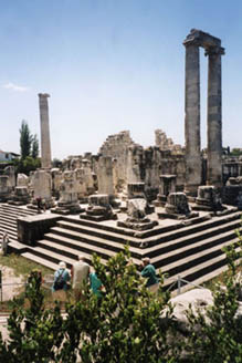 14 Didymes Temple d'Apollon