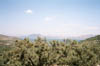 13 Lac Camiçi