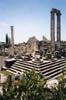 14 Didymes Temple d'Apollon