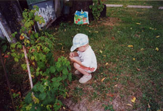 2001 07 charmes framboises