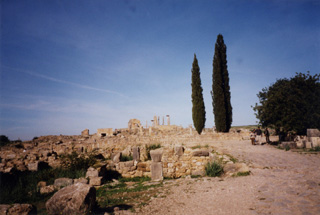030101 33Volubilis