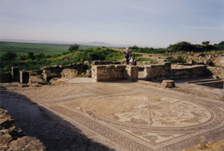 030101 35Volubilis