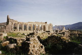 030101 36Volubilis