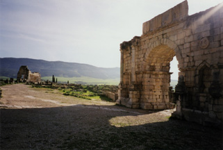 030101 37Volubilis