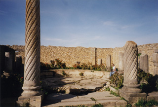 030101 39Volubilis