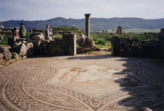 030101 40Volubilis