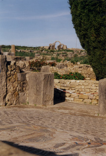 030101 41Volubilis