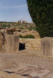 030101 42Volubilis