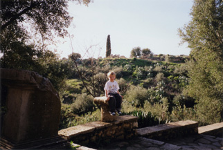 030101 45Volubilis