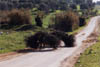 030101 32Ane