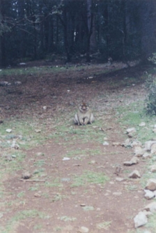 04 En route pour le désert