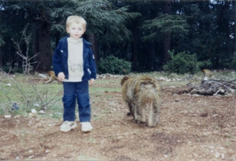 05 Singes forêt d'Azrou