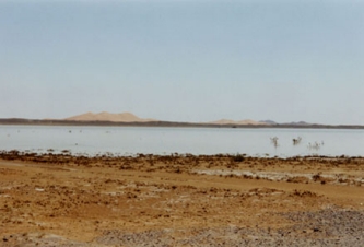 23 au loin les dunes