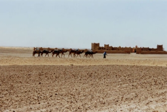 24 la caravane passe