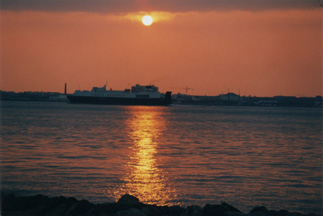 0208 La Turballe21 St Nazaire