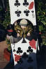 020202 Disney le monde d'Alice
