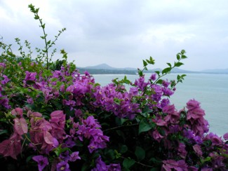 085 J4 Samui Chaweng viewpoint