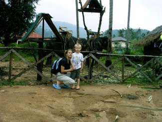086 J4 Samui Chaweng elephants