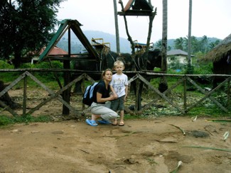 087 J4 Samui Chaweng elephants