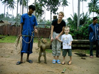 093 J4 Samui Chaweng singe