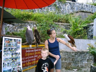 212 J7 Phuket Prompthep Cape viewpoint aigle