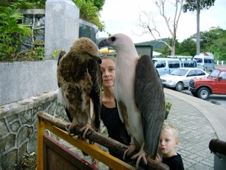 213 J7 Phuket Prompthep Cape viewpoint aigle