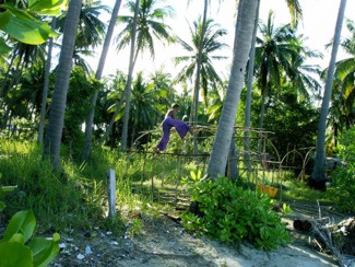 246 J8 Phuket Phanwa Cape