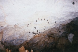 036 J2 PN grotte