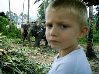 089 J4 Samui Chaweng elephants