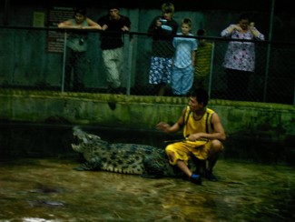 121 J4 Samui Crocodile farm