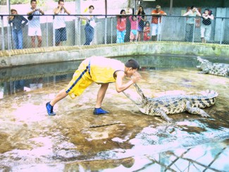 122 J4 Samui Crocodile farm