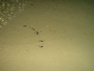 180 J6 Samui Chaweng aube