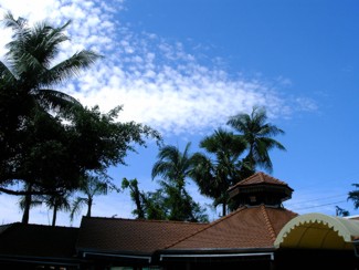 260 J9 Phuket Patong piscine
