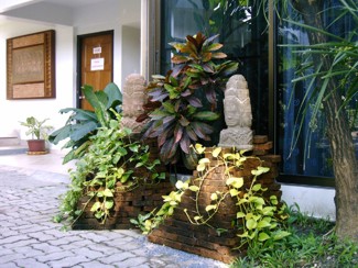 291 J9 Phuket Patong jardin