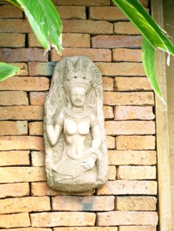 295 J10 Phuket Patong jardin