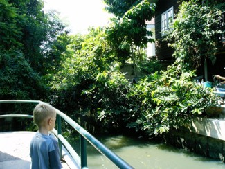 364 J13 Bangkok klong