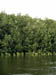 058 J2 PN nature