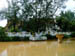 239 J8 Phuket temple