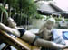298 J10 Phuket Patong piscine
