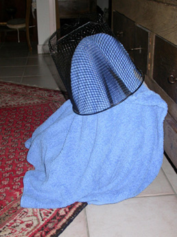 030217 Epinal coucou